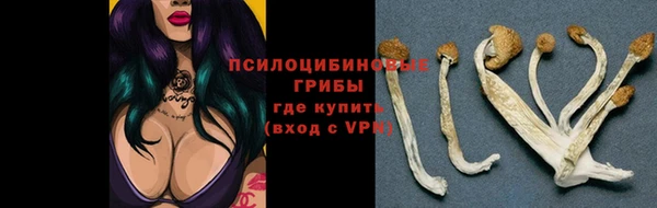 марки lsd Алзамай