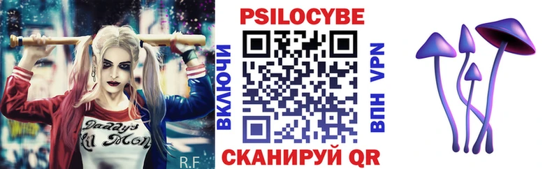 мега ССЫЛКА  Волоколамск  дарк нет Telegram  Псилоцибиновые грибы Psilocybine cubensis 