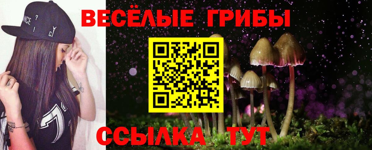 Псилоцибиновые грибы Psilocybine cubensis Волоколамск